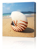 12 x 12" Canvas Prints