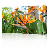 30 x 20" Canvas Print